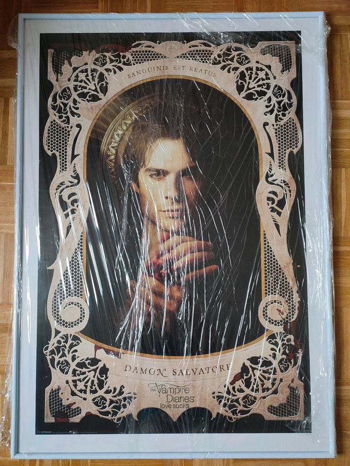 Bild Rahmen Damon Salvatore Vampire Diaries 101 x 72 cm Poster in Dresden