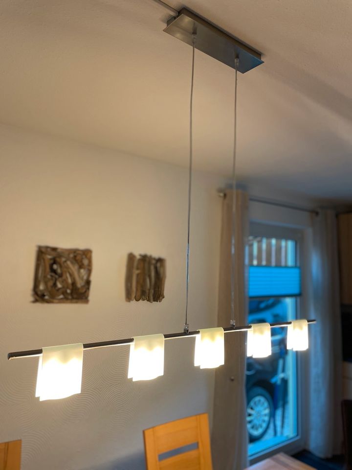 Deckenlampe / Esstisch/ Hängelampe in Vogt