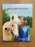 Buch Pferde & Ponys Rostock - Reutershagen Vorschau