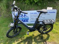 QIO EINS Kompaktrad 20" Active Plus 500WH RT/ LL berryblaumatt Kiel - Russee-Hammer Vorschau