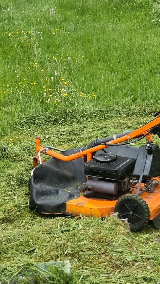 10 % bei Mäh- oder Rückschnittarbeiten in Illingen