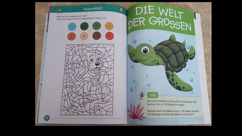 Buch für die Vorschule- NEU! in Oberlungwitz