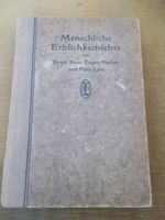 Menschliche Erblichkeitslehre und Rassenhygiene Bauer Fischer RAR Nordrhein-Westfalen - Petershagen Vorschau