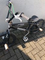 BMX Fahrrad zu verkaufen Münster (Westfalen) - Wolbeck Vorschau