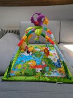 Spielbogen Dschungel Fisher Price Baden-Württemberg - Aichtal Vorschau