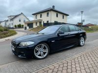 BMW 530d xdrive Rheinland-Pfalz - Waldrach Vorschau