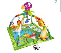 Fisherprice Spielebogen Sachsen - Haselbachtal Vorschau