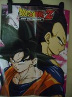 Dragon Ball Z Poster-DVD Collection, Rarität Niedersachsen - Zeven Vorschau