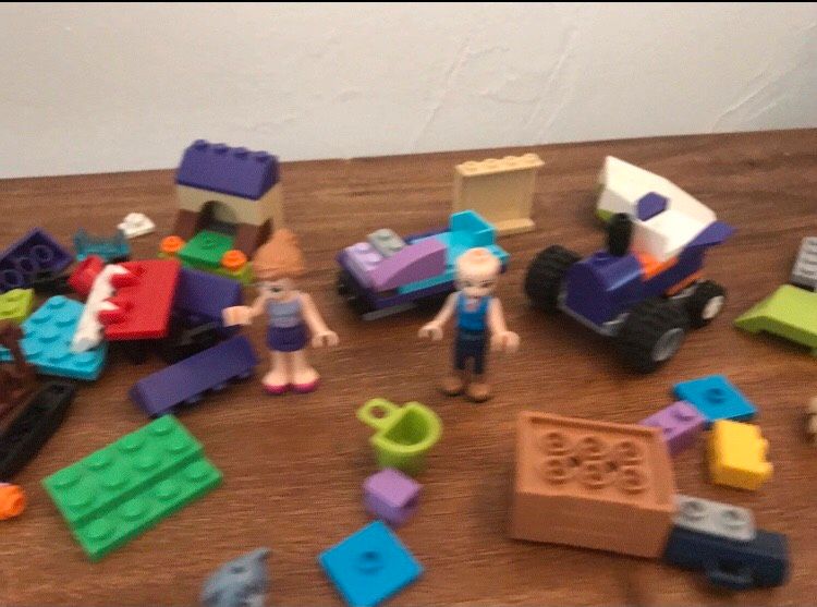 Lego Friends Pferde und Katze in Teuschnitz