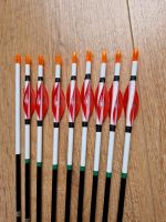 Easton Apollo Carbon 840 Arrow Pfeile Recurve Bayern - Auerbach in der Oberpfalz Vorschau