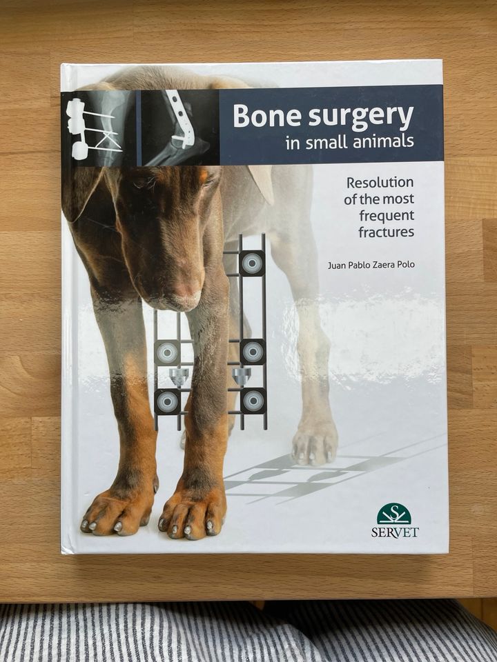 Bone surgery in small animals in Alzenau