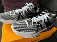 Nike LeBron Witness VII GR. 47,5 US13 NEU Nordrhein-Westfalen - Werl Vorschau