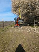 Heckenschere hydraulisch Minibagger zu vermieten Mieten Nordrhein-Westfalen - Lübbecke  Vorschau