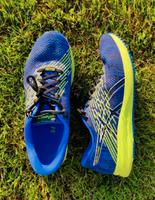 Asics DS Trainer 24, Herren, Gr. 43,5 (US 9,5) Niedersachsen - Bassum Vorschau