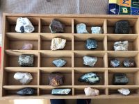 NEUW❣️Holzkasten, Sammelsetzkasten, 20 Fächer, Mineral Steine Frankfurt am Main - Seckbach Vorschau