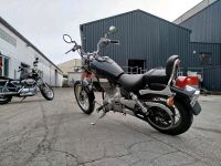 Suzuki LS 650 Savage KULT 1 Zylinder Chopper AME TÜV München - Pasing-Obermenzing Vorschau