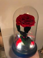 Rote Infinity Rose mit LED im Glas Nordrhein-Westfalen - Gütersloh Vorschau
