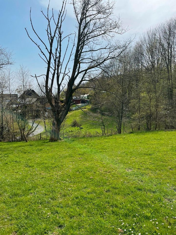 1-2 Baugrundstück(e) Waldbröl-Lützingen,   ges. 1.318m², 150 €/m² in Waldbröl