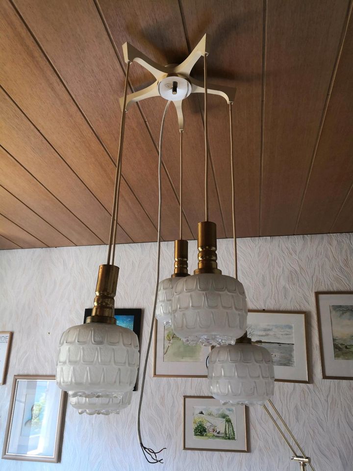 Wohnzimmer Deckenlampe in Schwarzach am Main