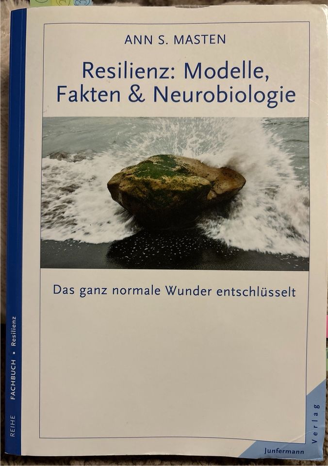 Resilienz: Modelle, Fakten & Neurobiologie in Hösbach