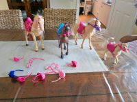 Barbie Pferde Saarland - Marpingen Vorschau