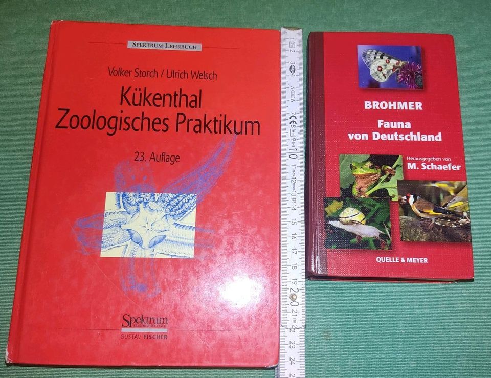 Kükenthal Brohmer Zoologisches Praktikum Fauna Deutschland in Schlüsselfeld