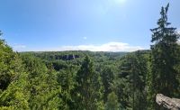 Wald, Waldgrundstück, Waldfläche Bad Saarow, Fürstenwalde Brandenburg - Bad Saarow Vorschau