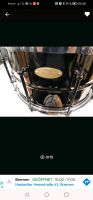 Worldmax 14x8 Messing Brass Snare mit Diecast Hoops Schwachhausen - Neu Schwachhausen Vorschau