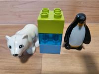 Lego Duplo 10501 Polartiere Eisbär Pinguin Bayern - Nersingen Vorschau