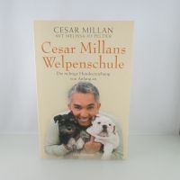 Welpenschule  Buch Nordrhein-Westfalen - Mönchengladbach Vorschau