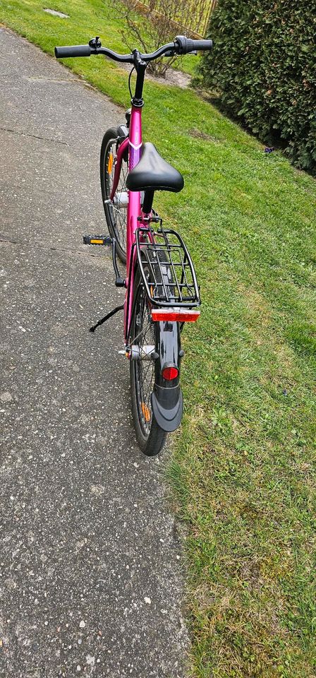 24 Zoll Mädchenfahrrad Pegasus in Schleife (Ort)