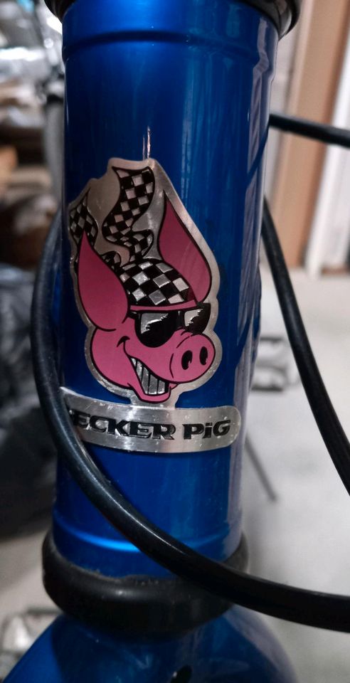 CHECKER PIG CPX 3003 Damen Fahrrad sammlerstück in Chemnitz