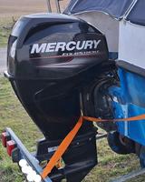 Mercury 40 PS Takt Einspritzer Bj 2012 Außenborder Kurzschaft Brandenburg - Potsdam Vorschau