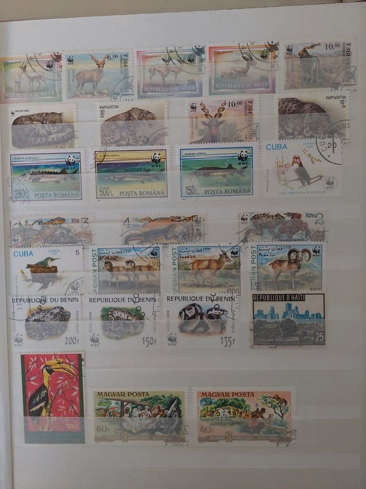 Briefmarken mit Album in Am Großen Bruch