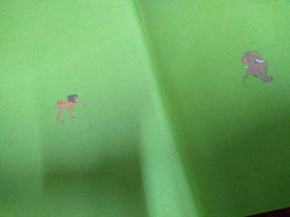 Disney der König der Löwen, Dschungelbuch, Schneider Sammelband in Weißenburg in Bayern