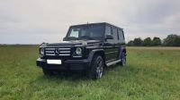 Mercedes G Klasse 350 AMG line **Standheizung** Baden-Württemberg - Heitersheim Vorschau