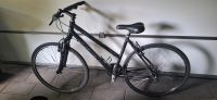 Damen Mountainbike von Stevens 28 er Nordrhein-Westfalen - Kreuztal Vorschau