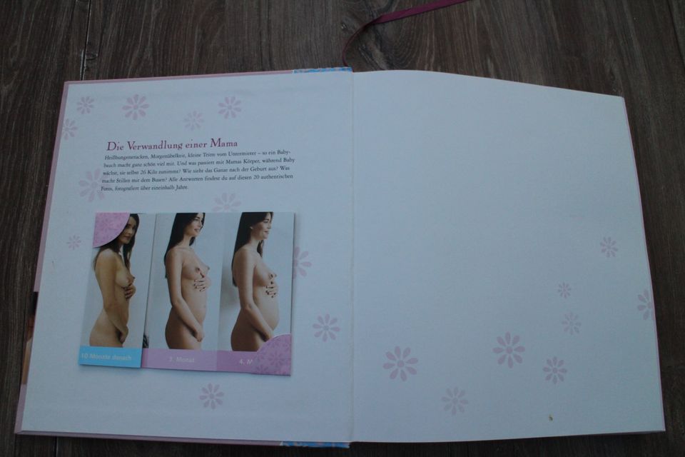 Buch " Das Mami Buch: Schwangerschaft, Geburt und die 10 Monate d in Teltow