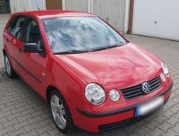 VW Polo + Erstzl.2002 +TÜV 04/26 + AHK + el.Fenster+47 KW +Euro 4 Niedersachsen - Haselünne Vorschau