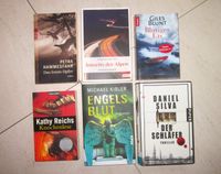 Spannende Bücher: Thriller, Krimi, Roman, neuwertig Bayern - Fürstenfeldbruck Vorschau