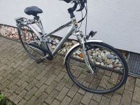 Damen Fahrrad Frontenhausen - Bircha Vorschau