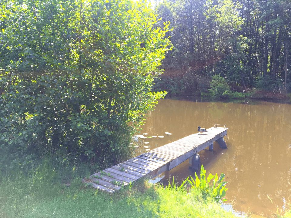 Feriendorf direkt am See - mit Entwicklungspotenzial in Heidesee