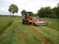 Heu Mähwerk Traktor Dienstleistung Sachsen - Seelitz Vorschau