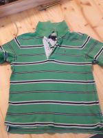 Thommy Hilfiger T-Shirt Polo-Shirt Gr. 104 Baden-Württemberg - Achern Vorschau