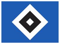 SUCHE: HSV TRIKOT Gr: S( Alidou/Onana/Muheim) Niedersachsen - Cuxhaven Vorschau