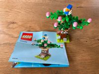 LEGO 40096 Frühlingsbaum aus LEGO Store - wie NEU Rheinland-Pfalz - Windhagen Vorschau