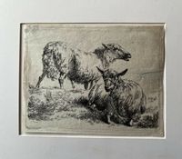 Radierung Nicolaes Berchem Set of Sheep Schafe Hessen - Bad Soden am Taunus Vorschau