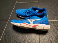 Mizuno Wave Stealth V Handballschuhe Saarland - Wadgassen Vorschau