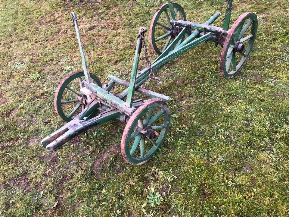 Leiterwagen, Wagen, Fasnacht, Fasching, Umzug, Faschingszug in Volkach