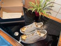 Converse pro Leather white / gold RAR *38* NEU⭐️ Hessen - Hungen Vorschau